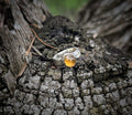 Rose Cut Citrine Ring
