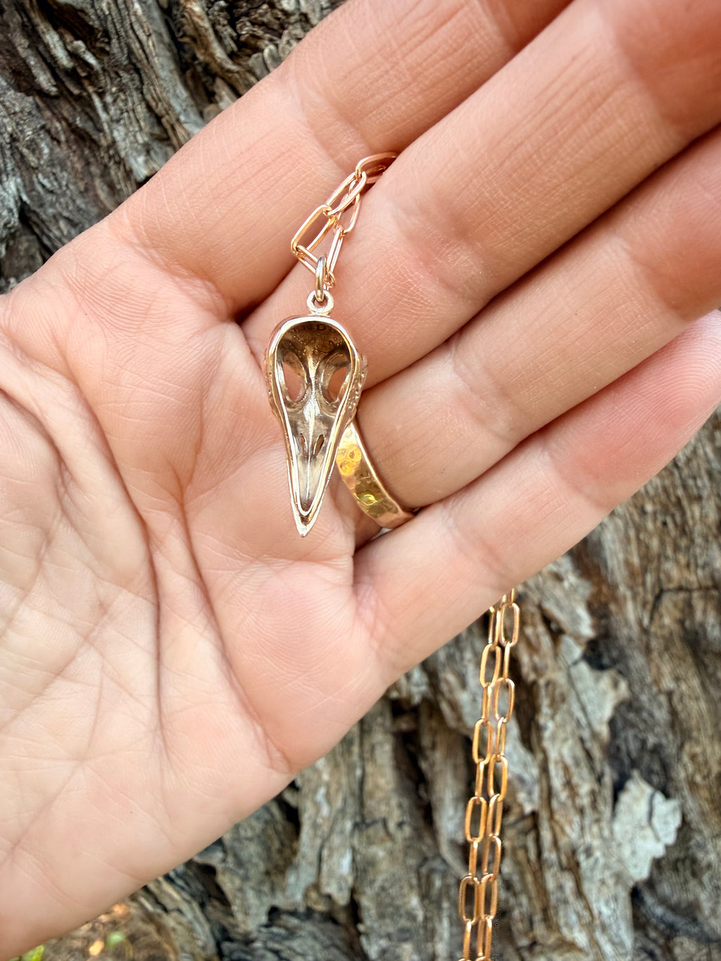 Bronze Raven Bird Skull Necklace