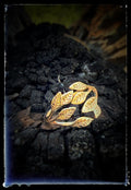 Bronze Fall Leaf Cluster Ring