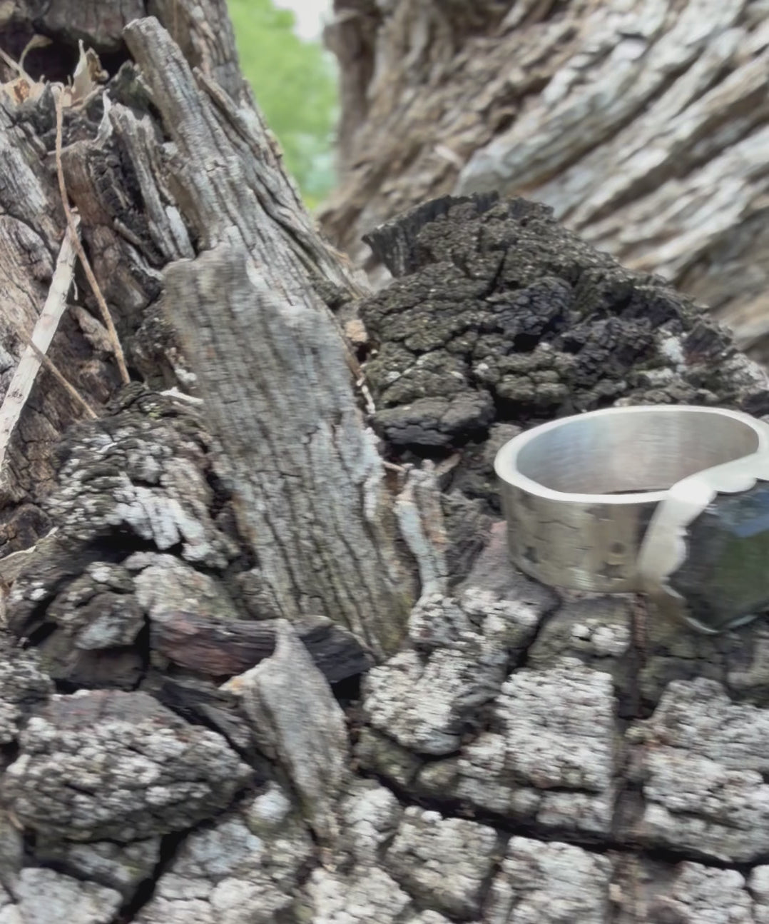 Silver Sheen Obsidian Goth Ring