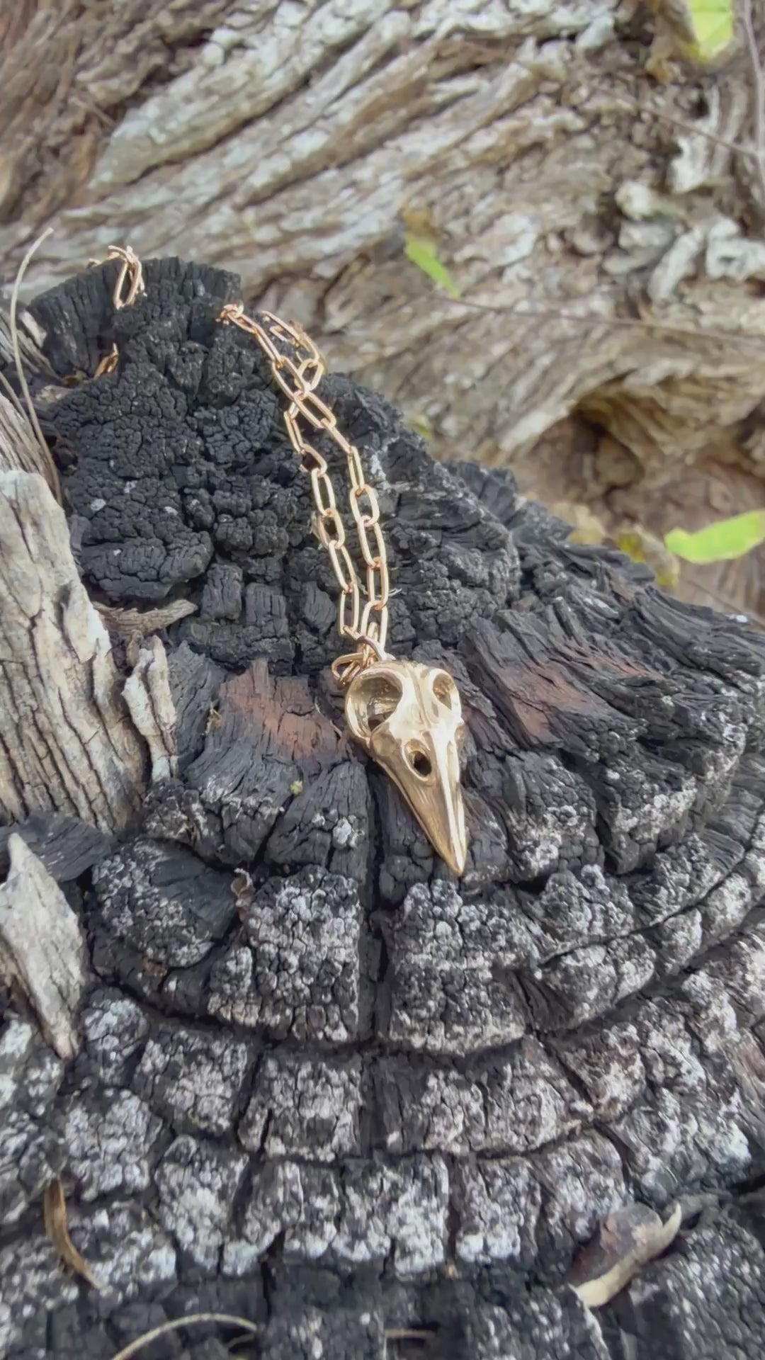 Bronze Raven Bird Skull Necklace
